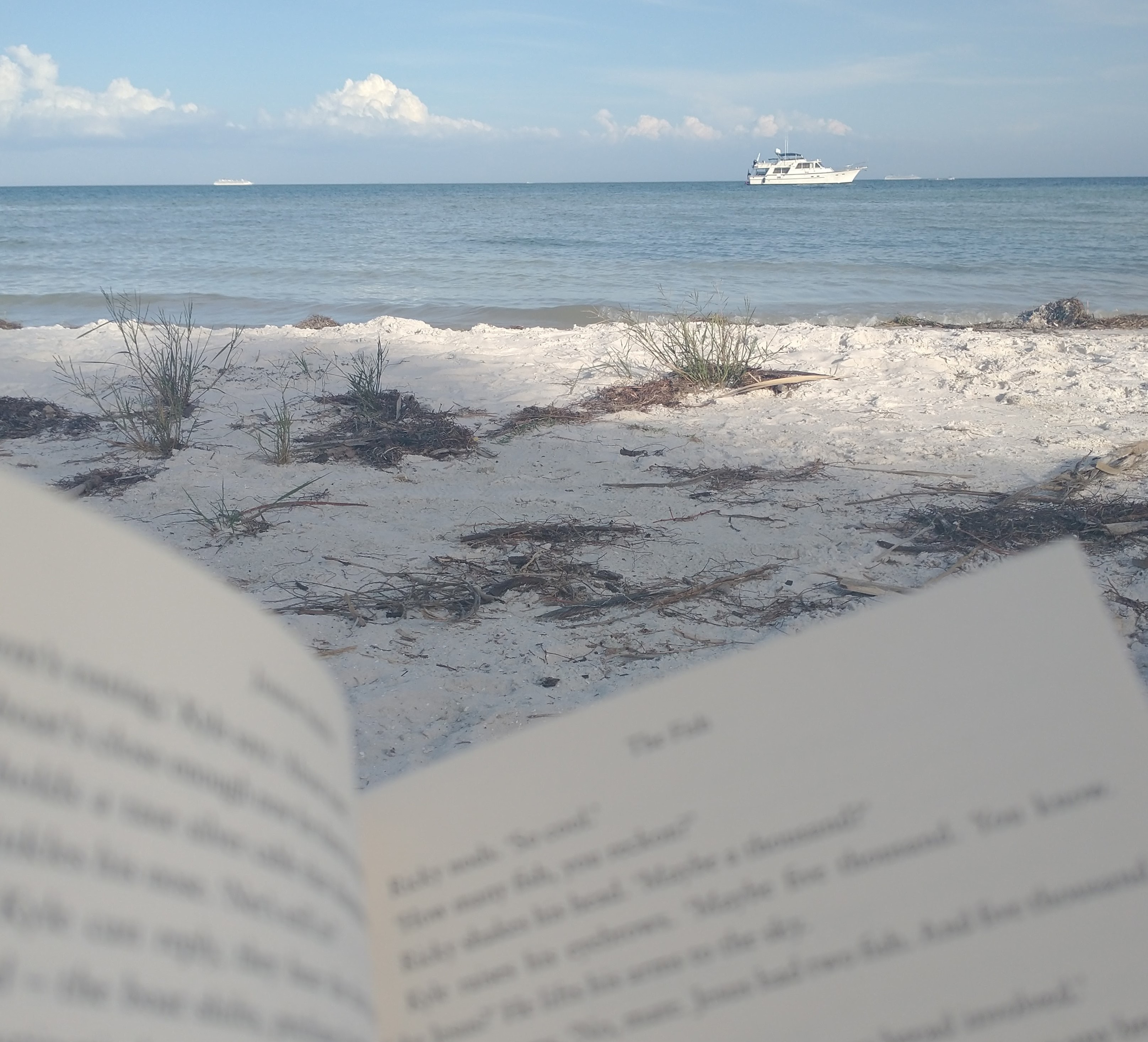 Photo of a book being read by the beach